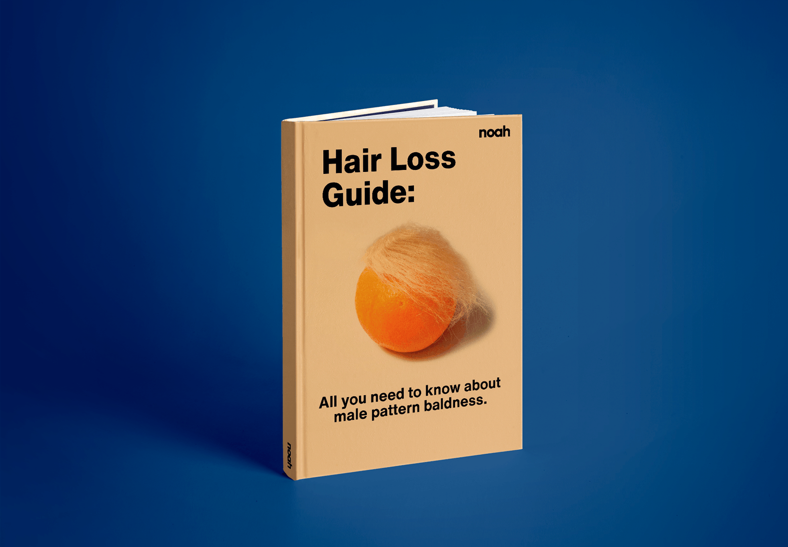 A notebook about Noah's hair loss guide