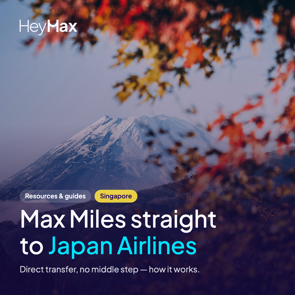 Singapore to Japan in Business Class With Miles: How to Find the Real Number