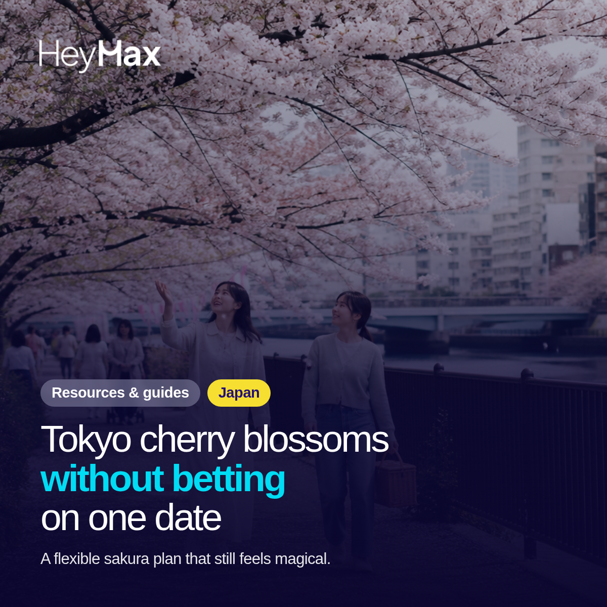 Tokyo Cherry Blossom Season: How to Plan Without Betting the Trip on One Date