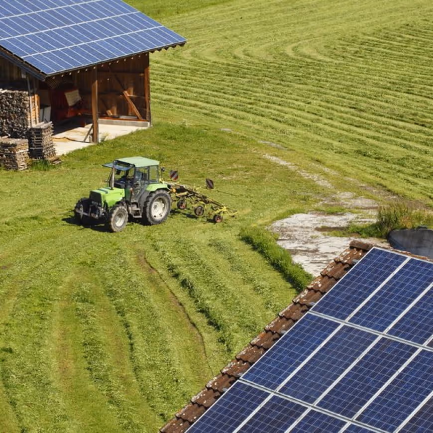 How do On-farm Energies make farms more sustainable?
