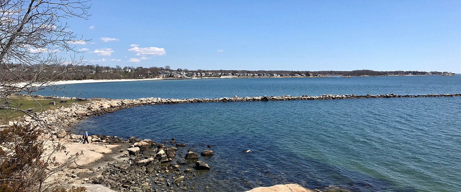Niantic