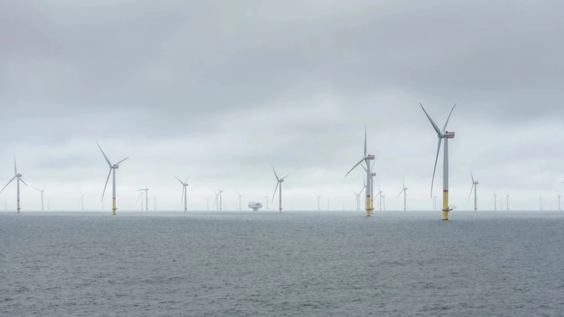Why Germany's First Offshore Wind Farm Changed Hands the Year Its Tariff Fell by Three Quarters
