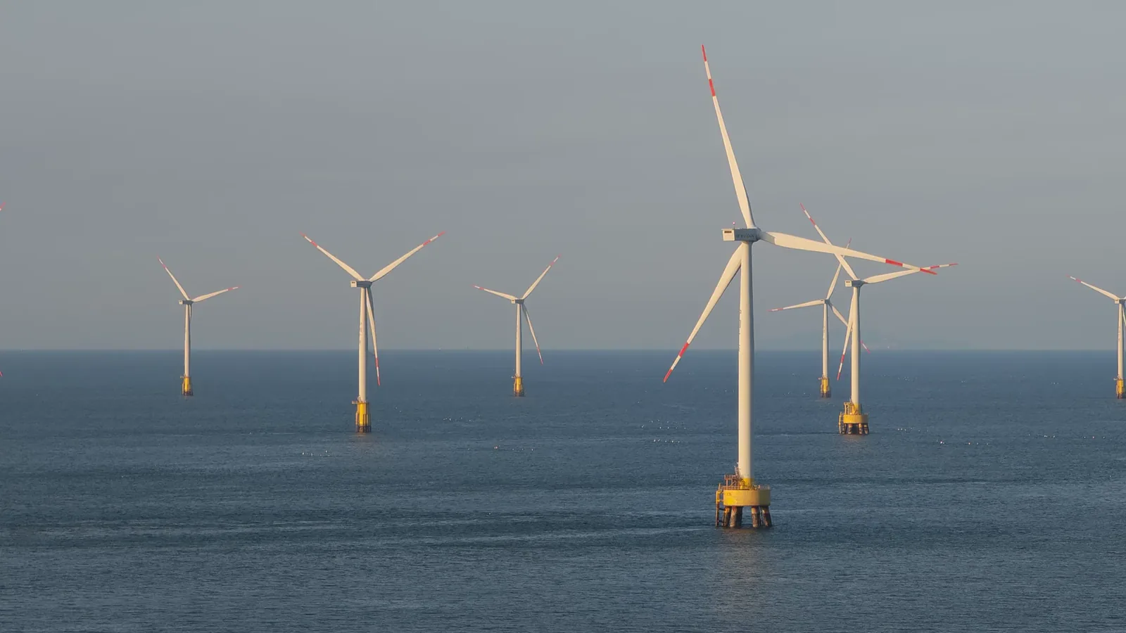 Macquarie Hands CIP a Quarter of Five Estuaries Before Any CfD