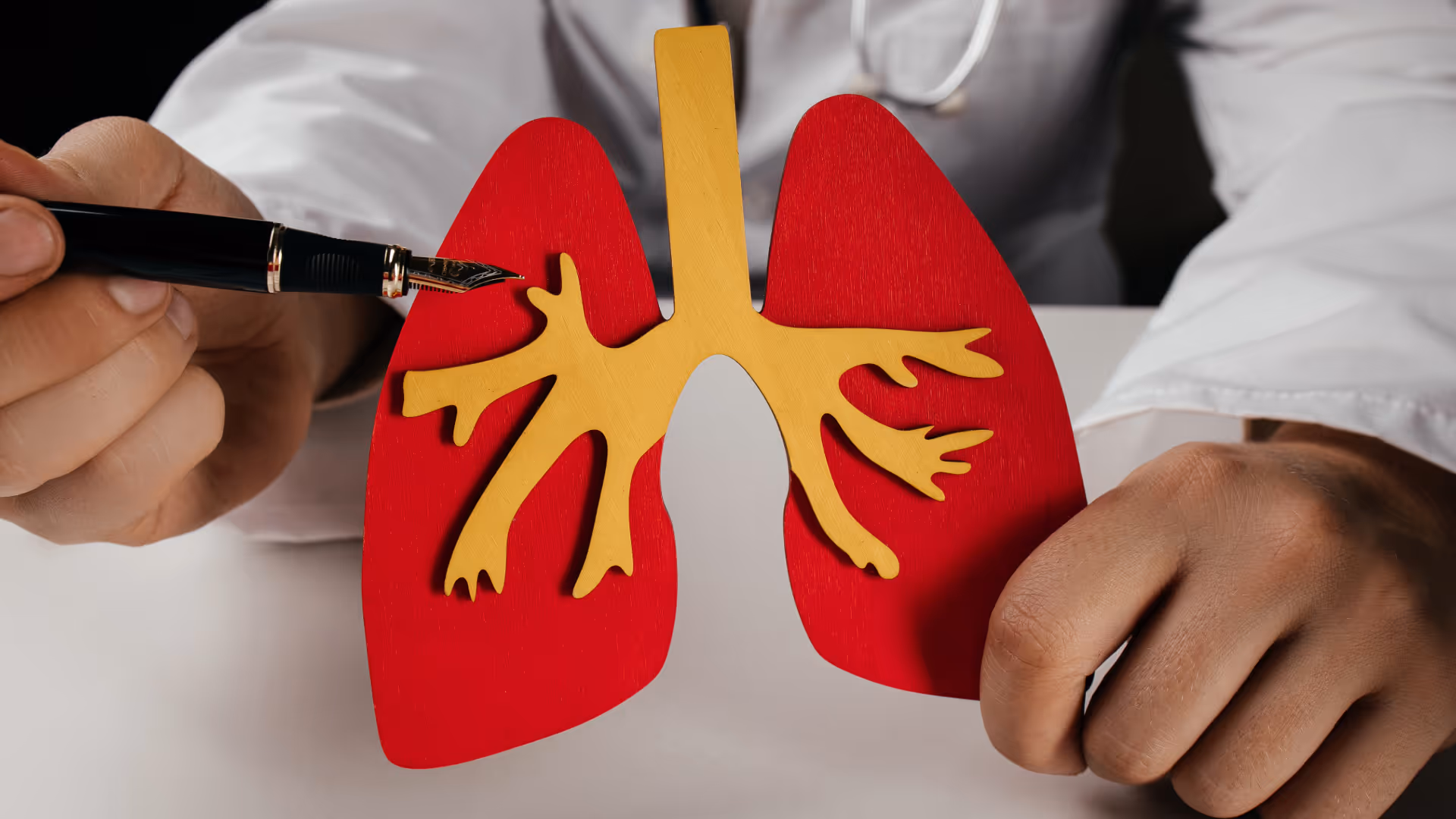 Physician showing pulmonary system