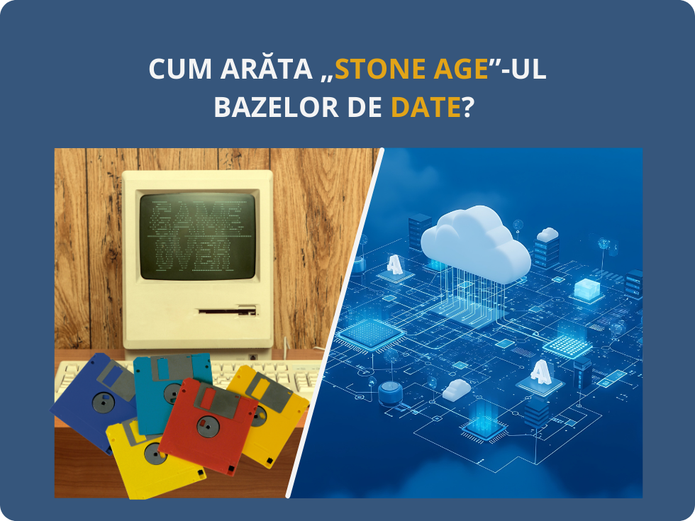 bazele de date sunt vitale