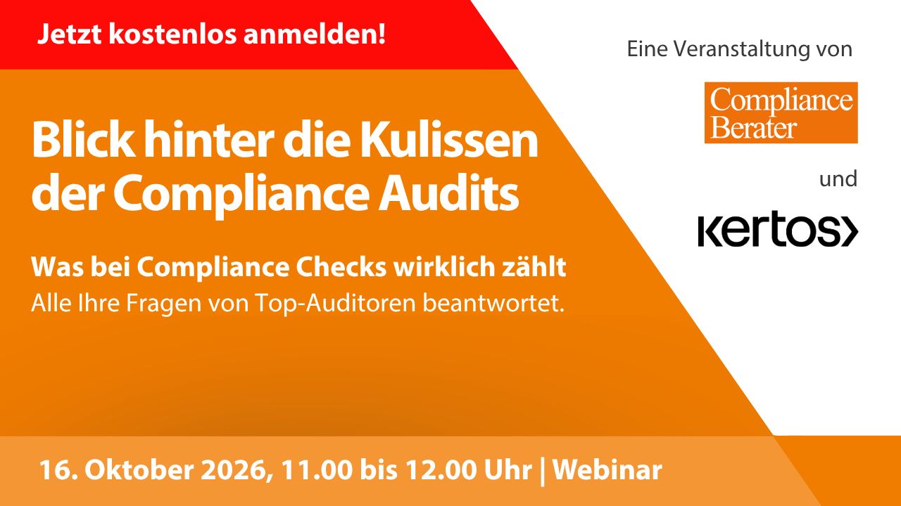 Behind the scenes - What auditors really check