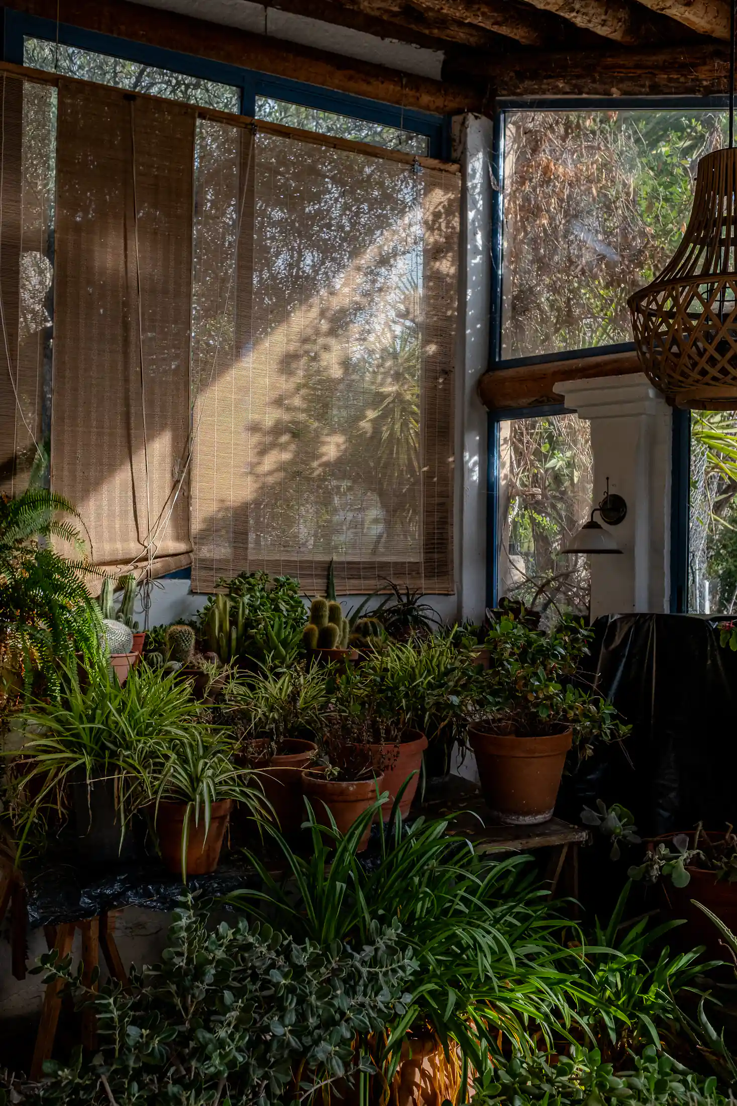La propriété - Mas del Taperal - Artist residency Spain / Résidence d'artiste en Espagne