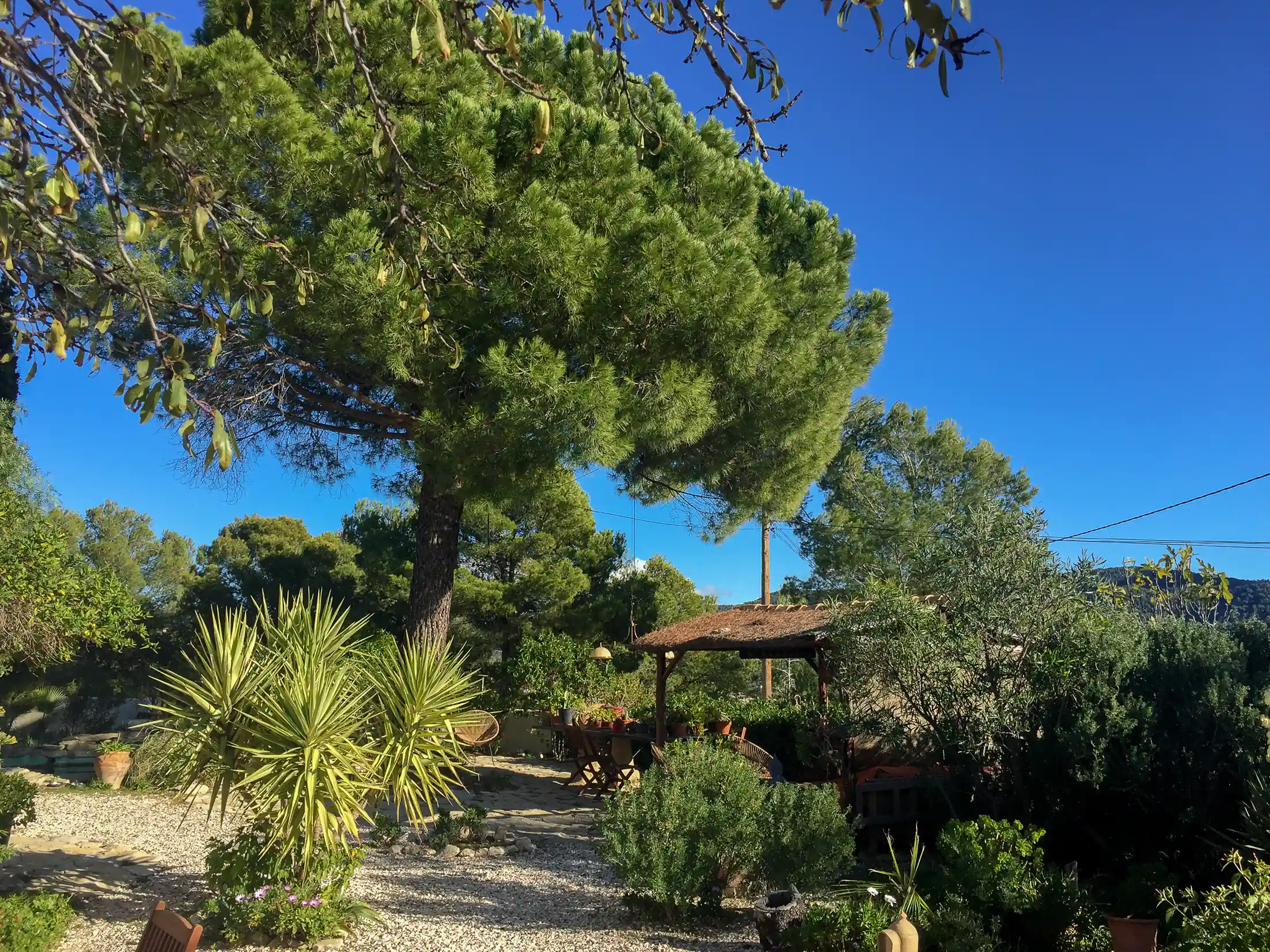 La propriété - Mas del Taperal - Artist residency Spain / Résidence d'artiste en Espagne