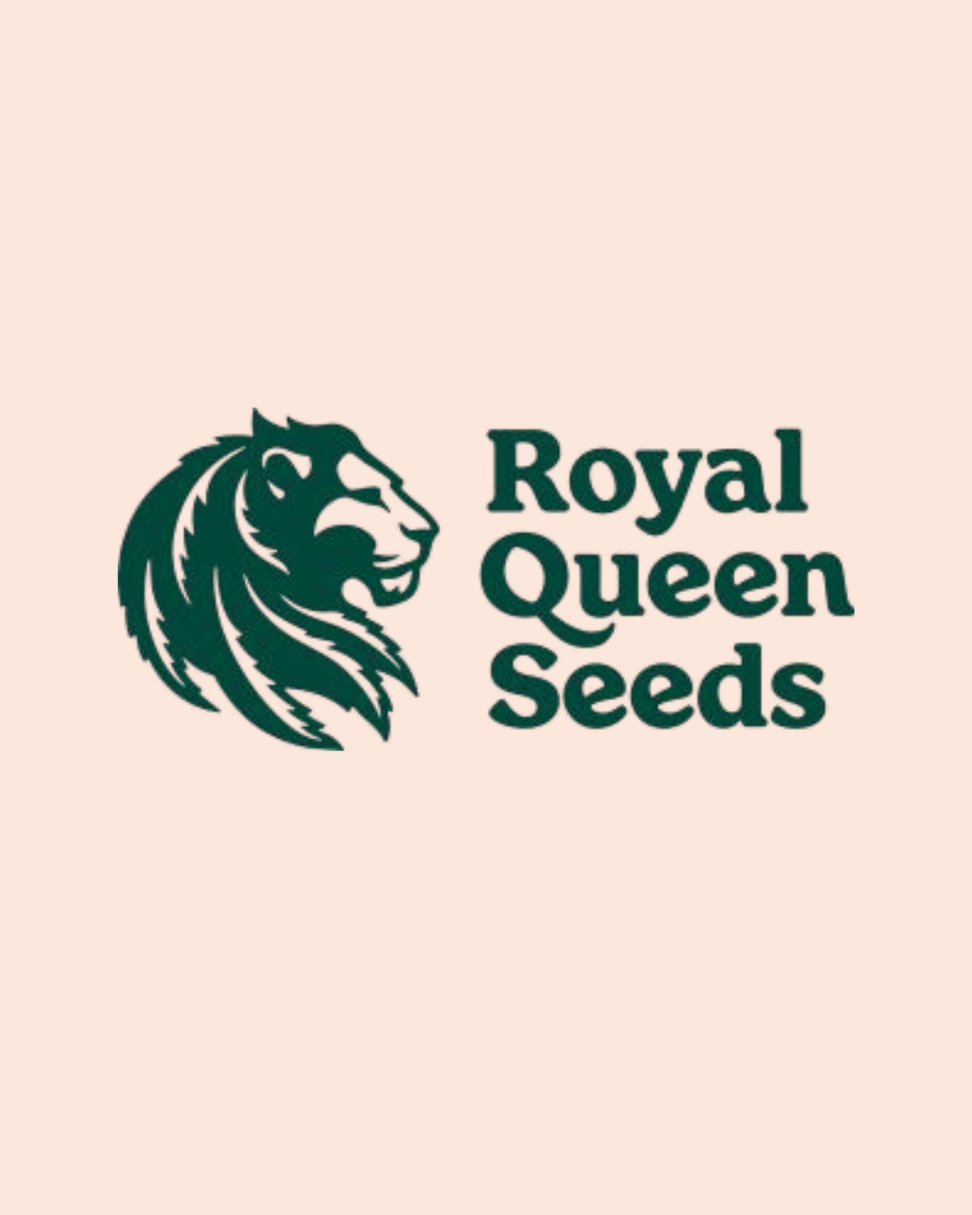 Royal Queen Seeds