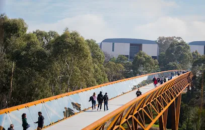 Deakin University Melbourne Burwood Campus