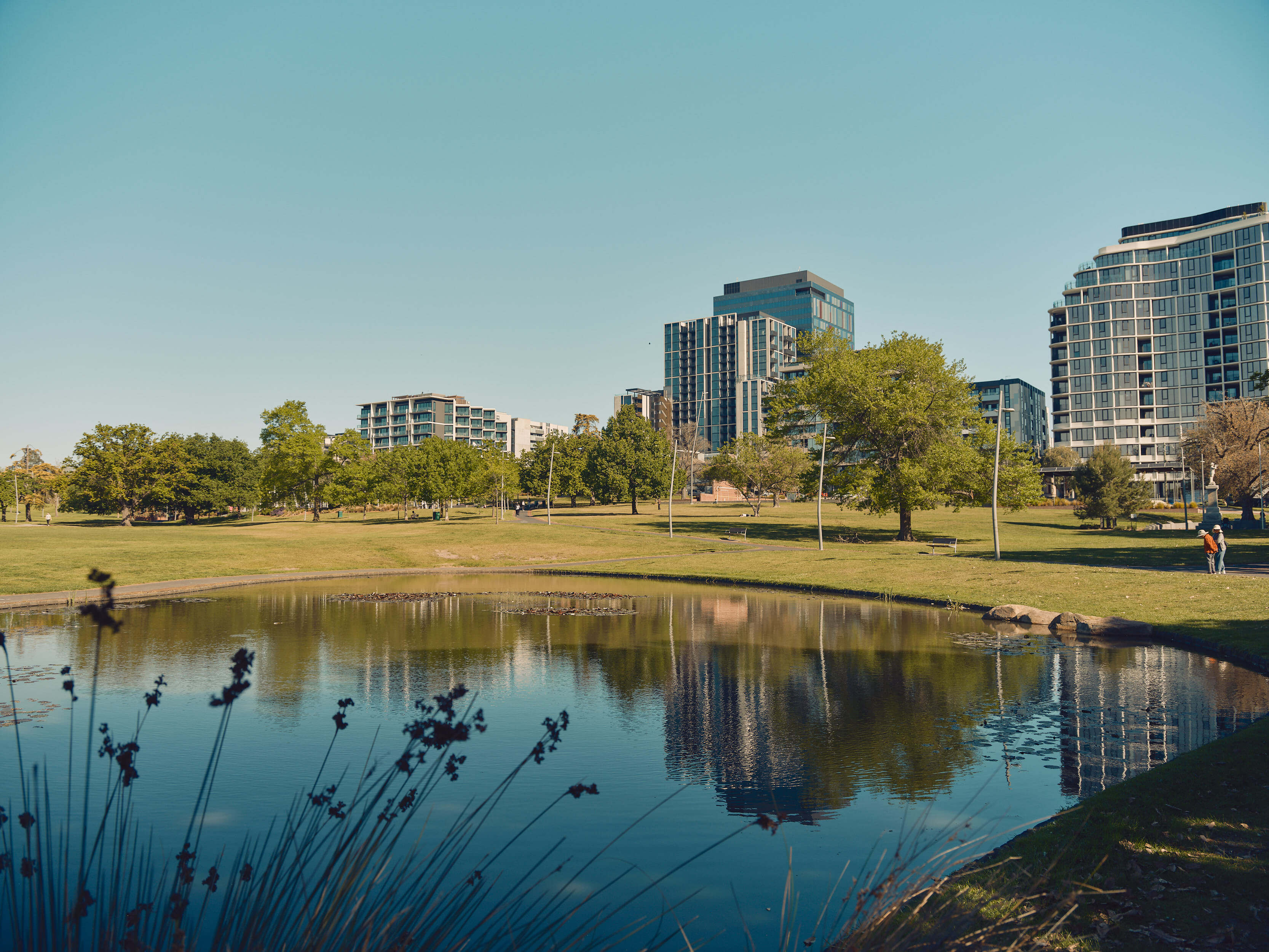 Your Local Box Hill Neighbourhood Guide: The Ultimate Area Guide for Renters, Students & Families