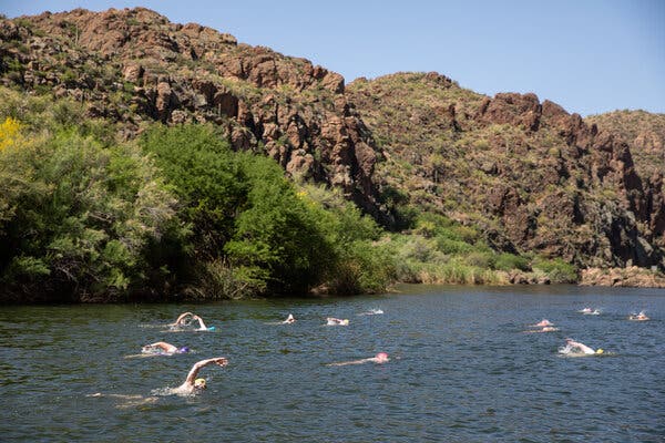 Bone-chilling temperatures, dramatic scenery and road trip interludes make the SCAR Swim a fan favorite in the niche sport of open water swimming.Caitlin O'Hara for The New York Times