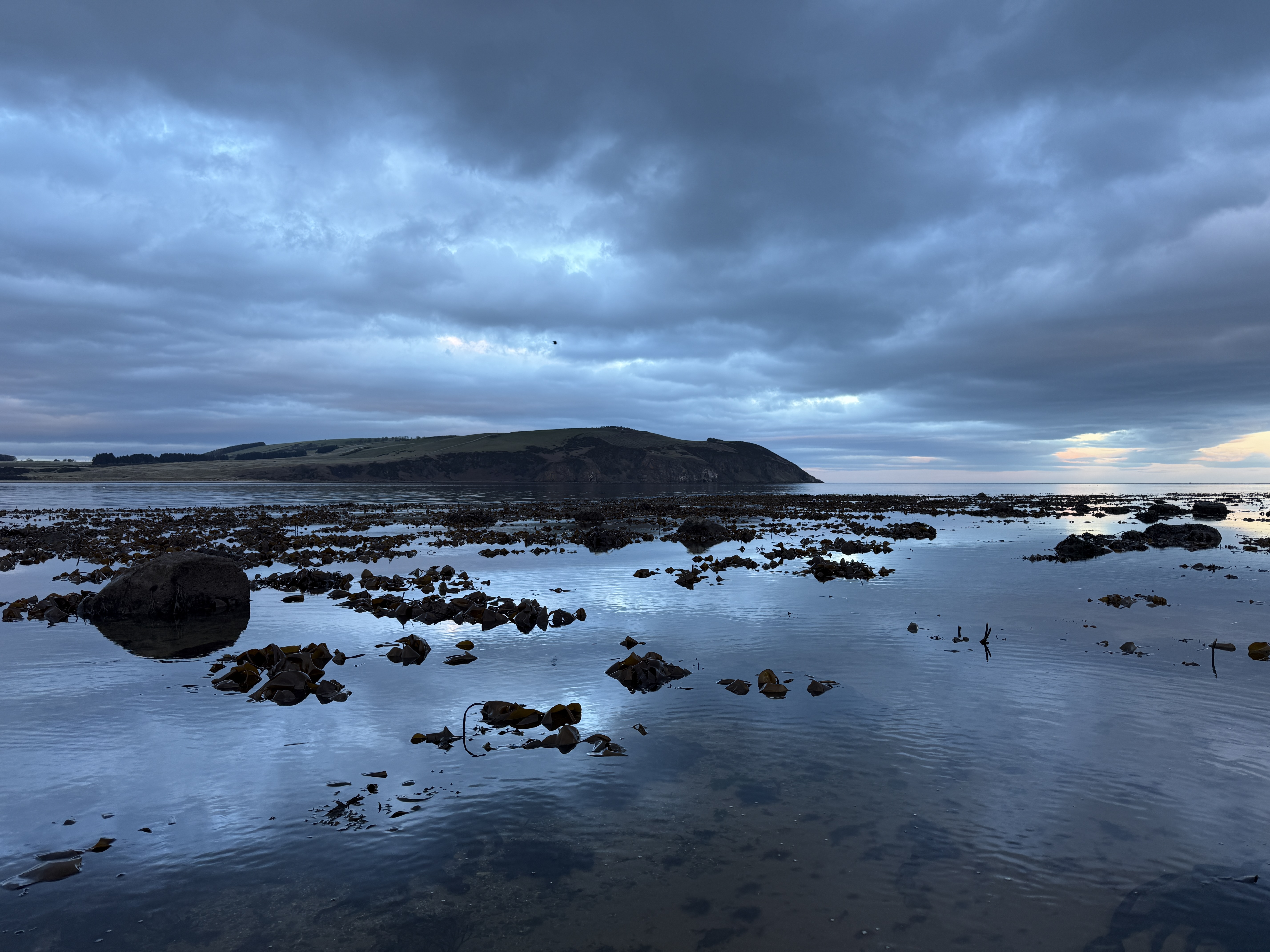 Intertidal exploration