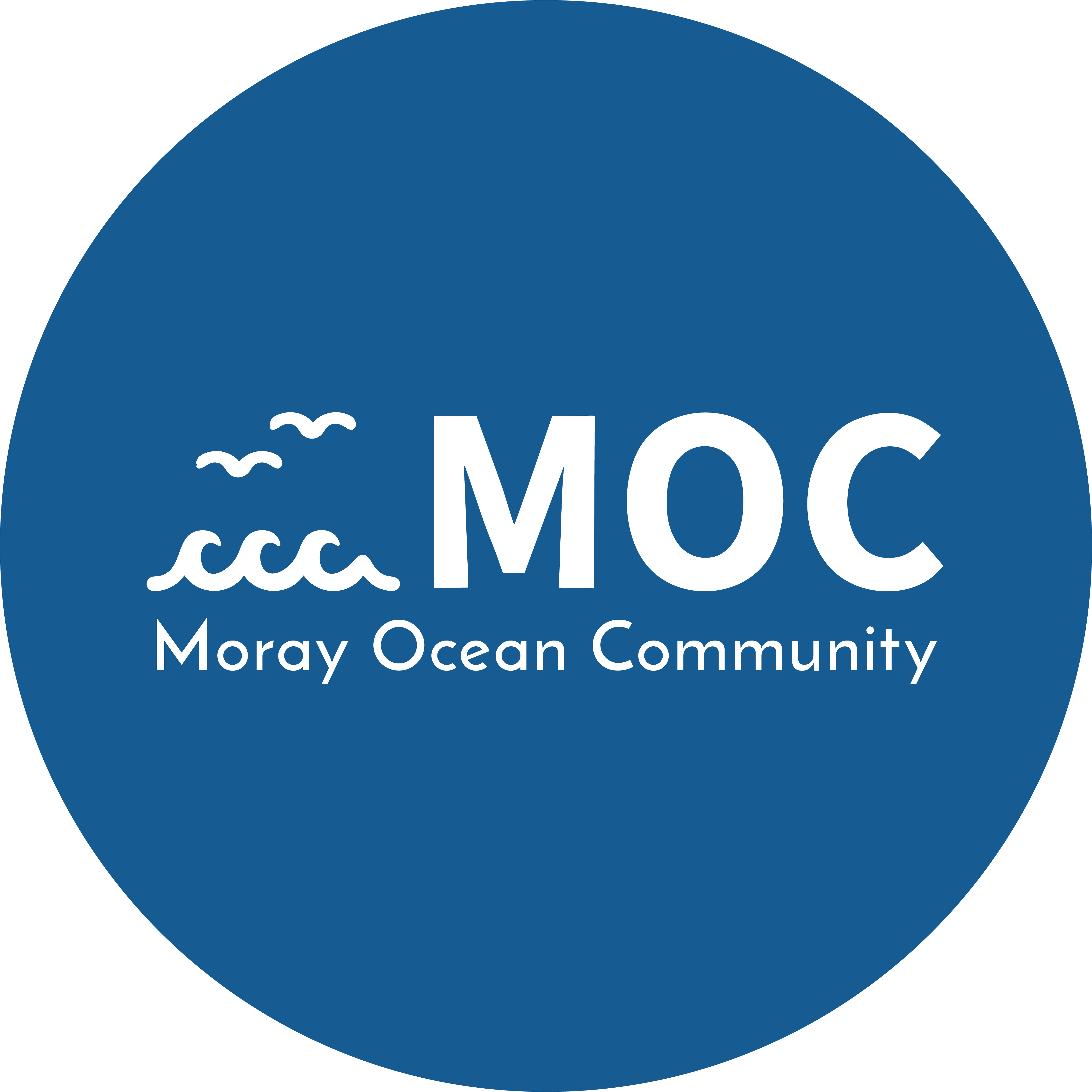 Coastal Film Festival Programme