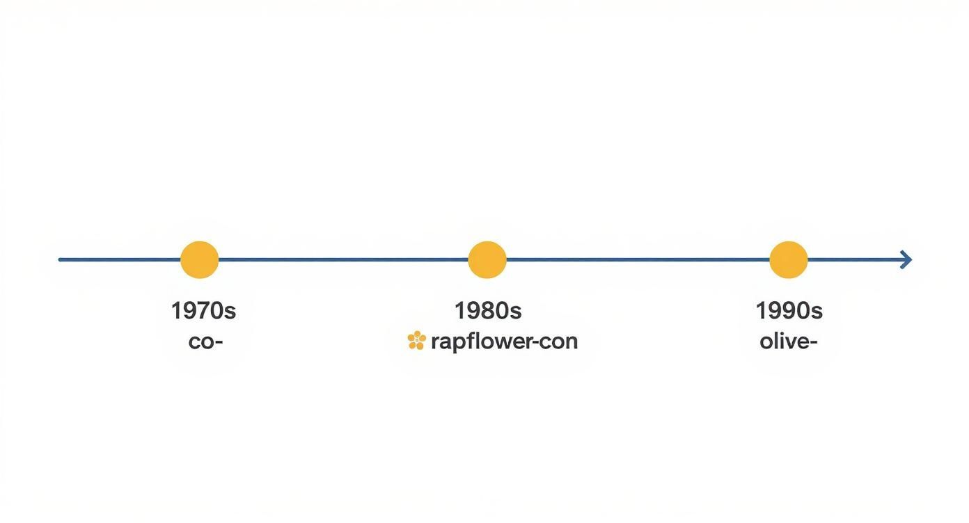 Infographic about olja i fettämnen