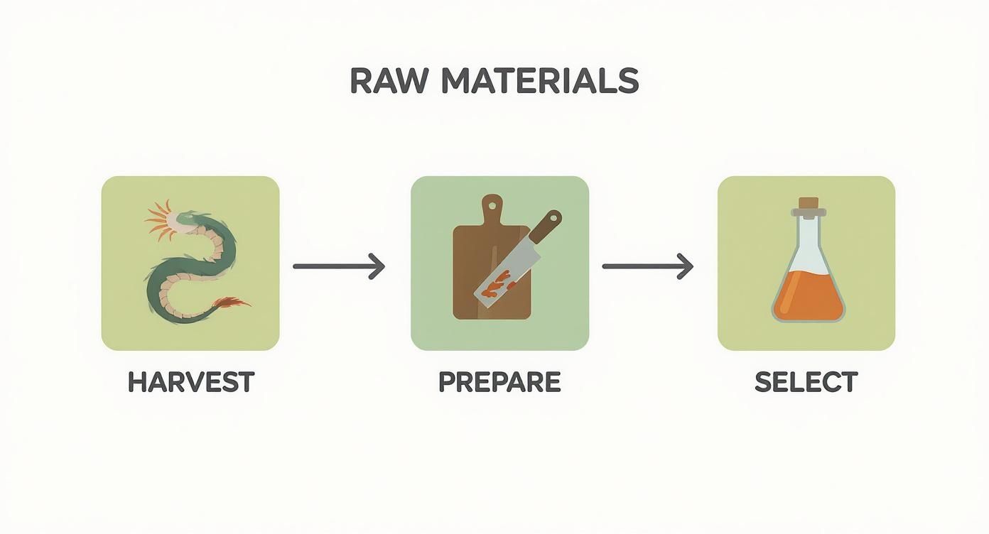 Infographic about dragonblad i vinäger