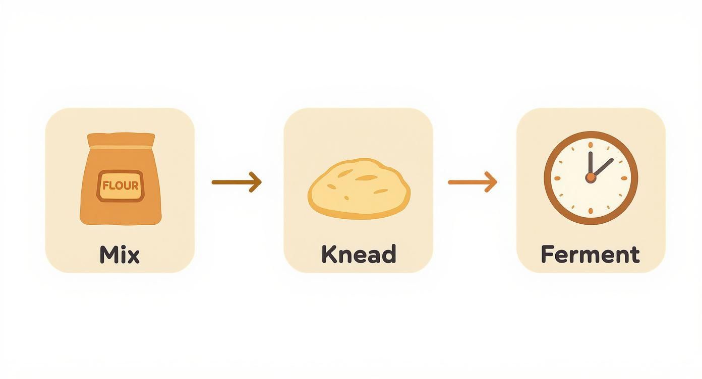 Illustration som visar brödbakningsprocessen: blanda mjöl, knåda deg och jäsning med klocksymbol