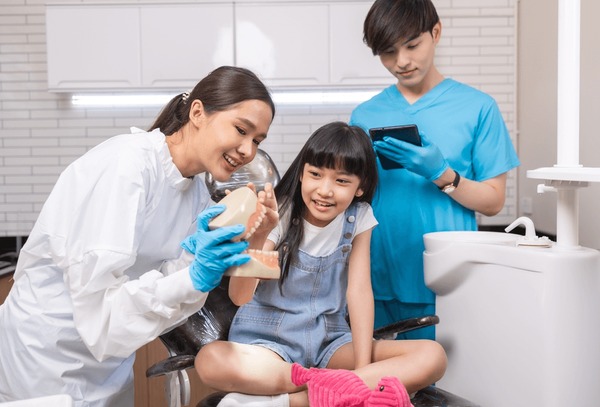 20+ Thousand Child Teeth Model Royalty-Free Images, Stock Photos & Pictures  | Shutterstock
