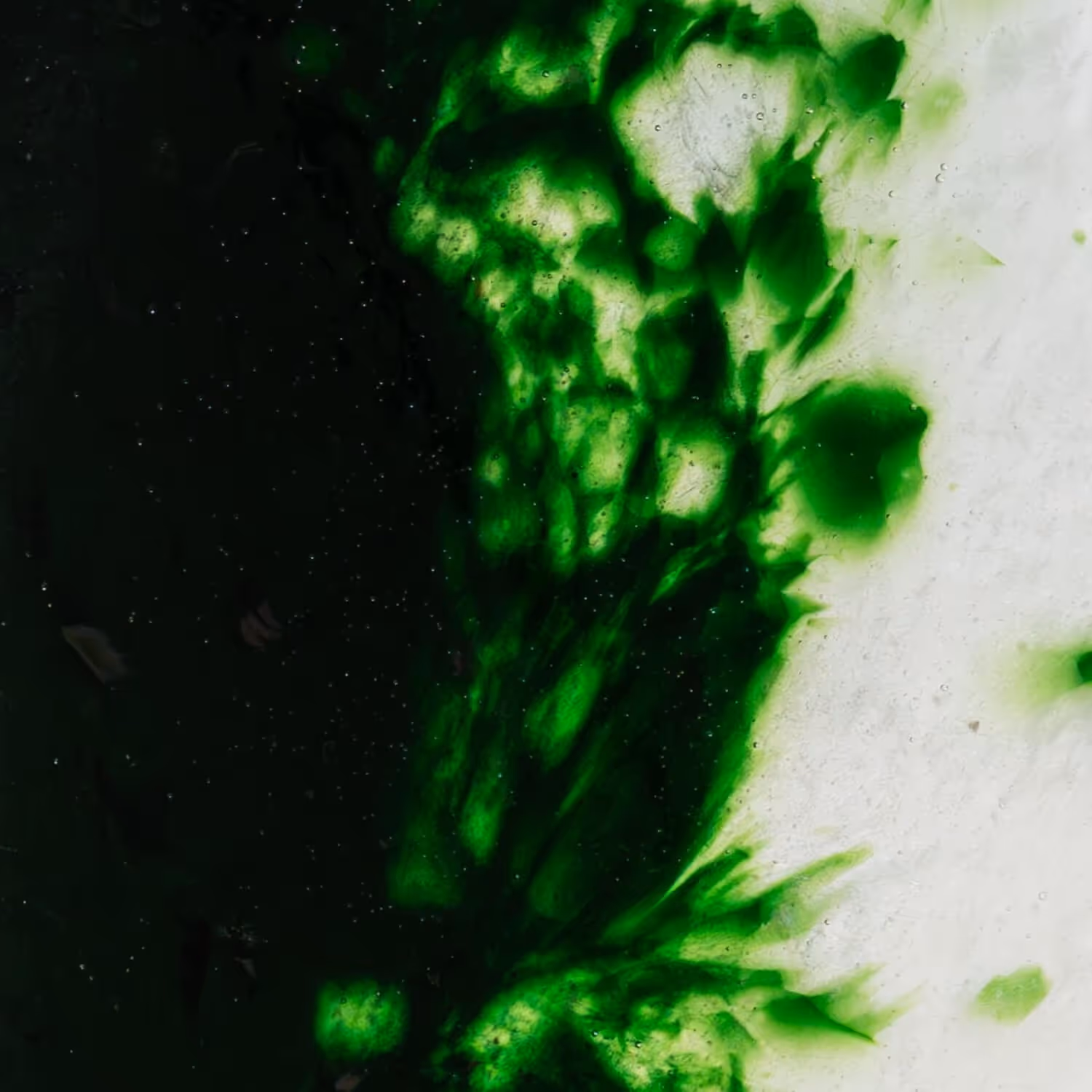Dark Green — CG