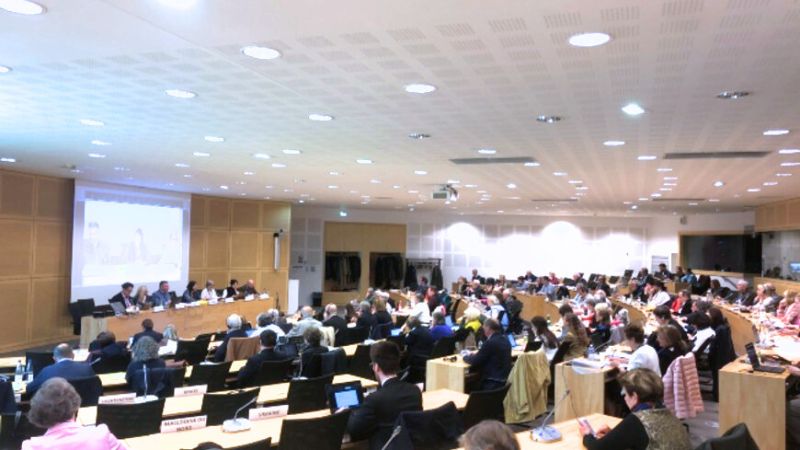 CESI in line with the priorities of the Council of Europe Conference of International NGOs