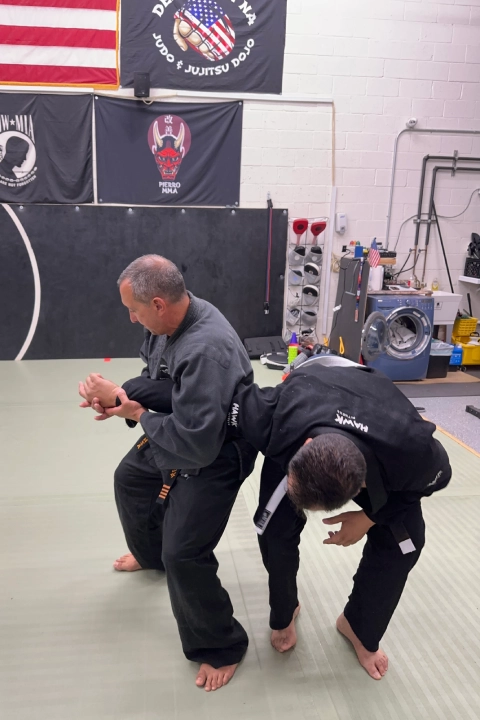 Japanese Jujitsu