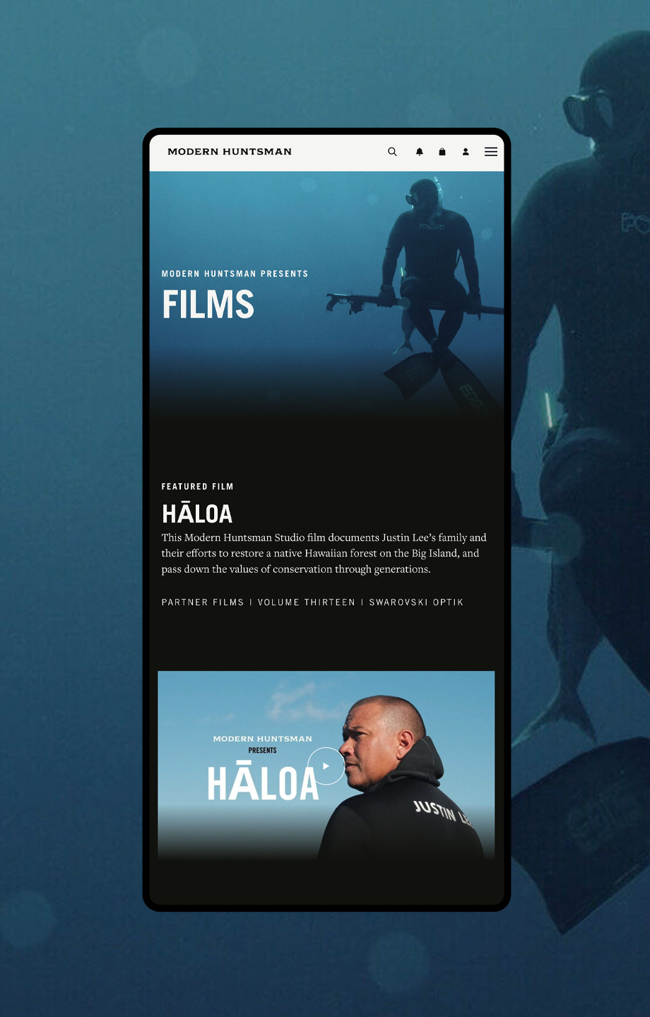 Webflow Experts Agency