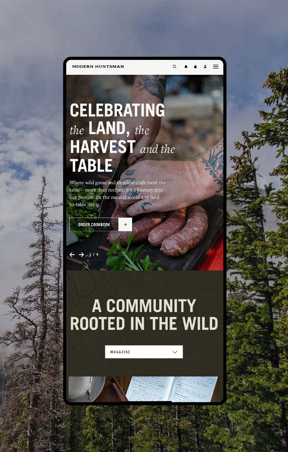 Webflow Experts Agency