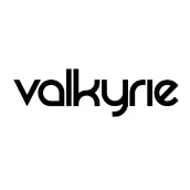 valkyrie logo