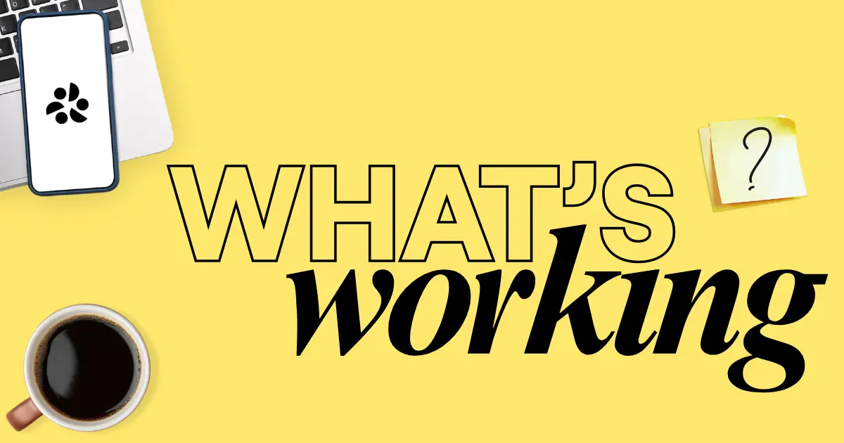 What's Working Podcast by Sharebite