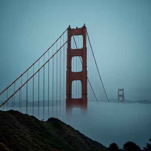 Bay Area Offices