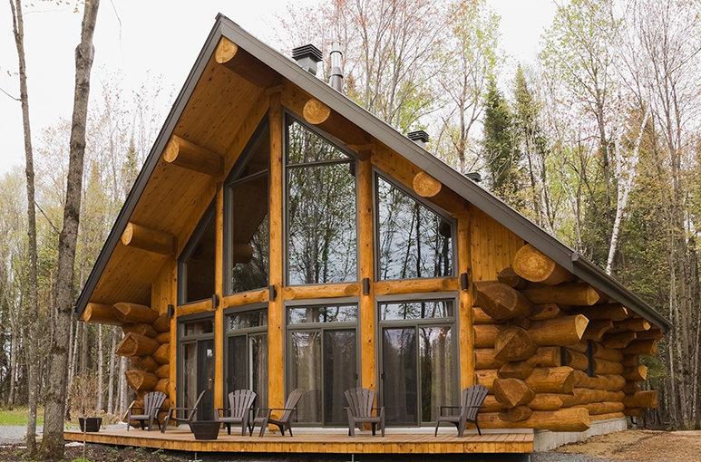 Cabin in the woods