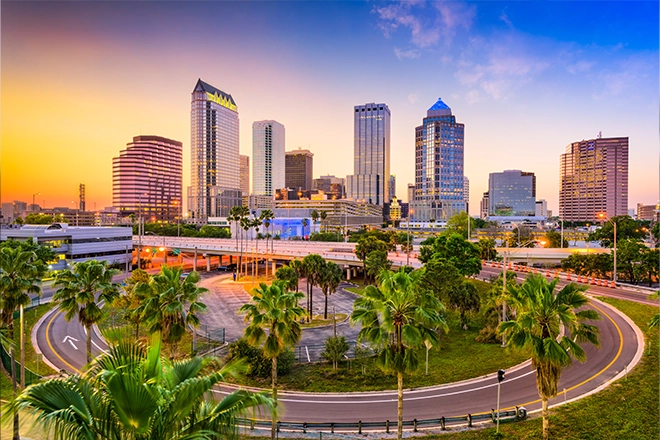 A dog owner’s guide to Tampa, FL