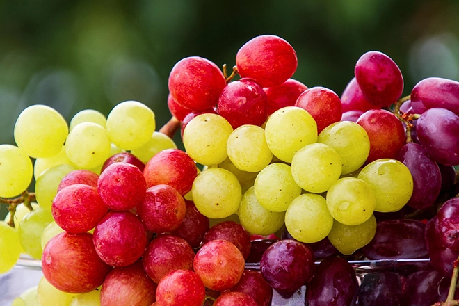 Can my dog have grapes or raisins?