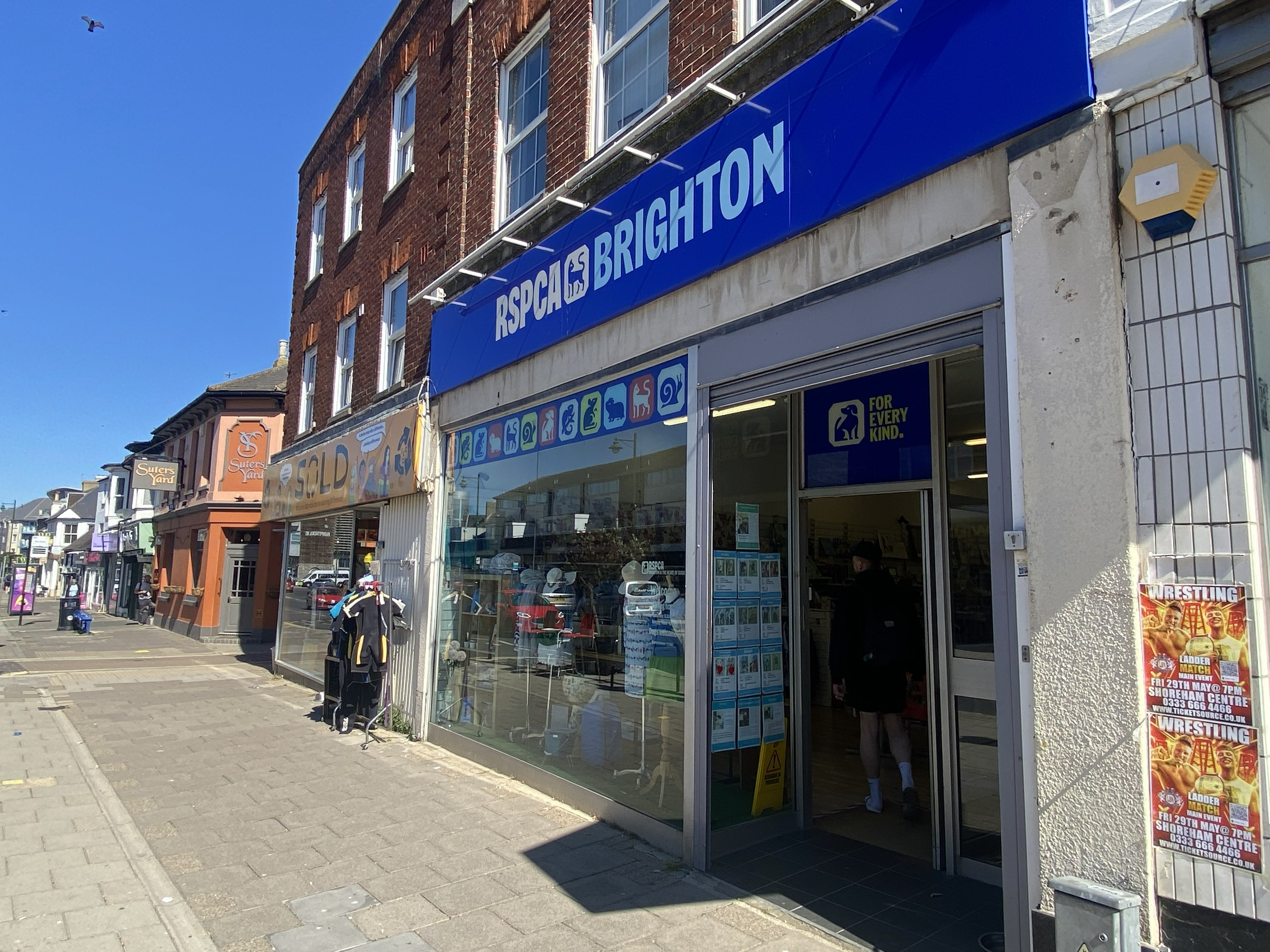 Street view of RSPCA Brighton storefront with blue signage and an open door leading inside on a sunny day.