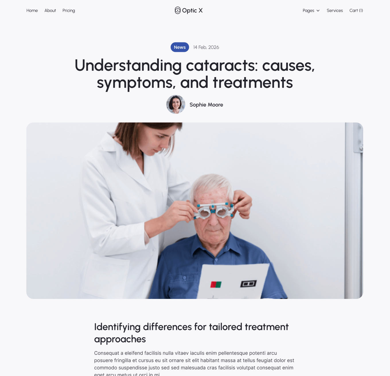 Optic X Blog Posts Hero Page Optician Webflow Template