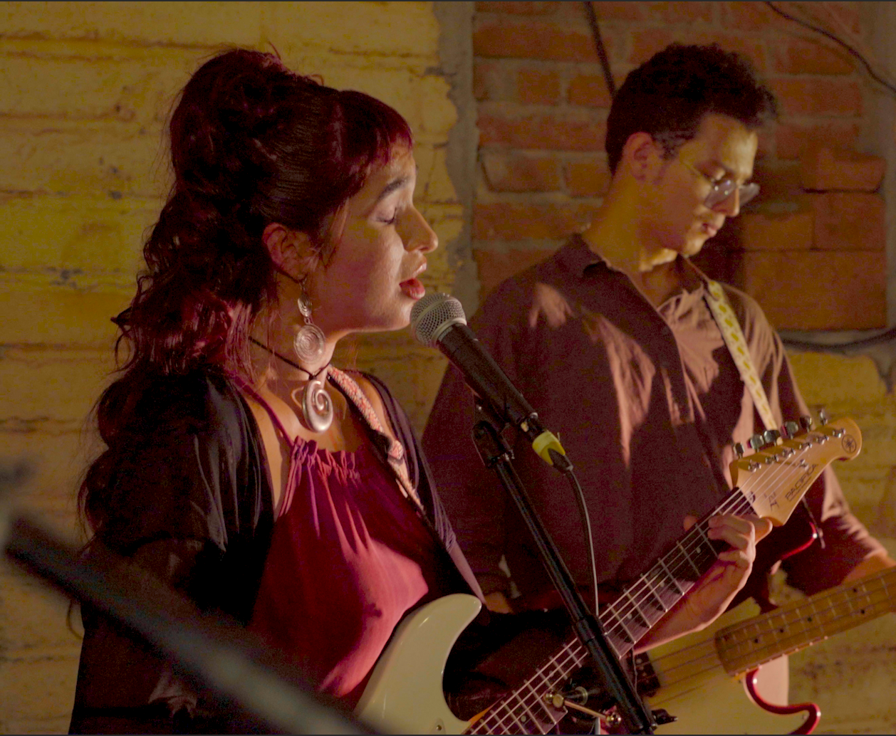 Noro Live Sessions Sampicotres