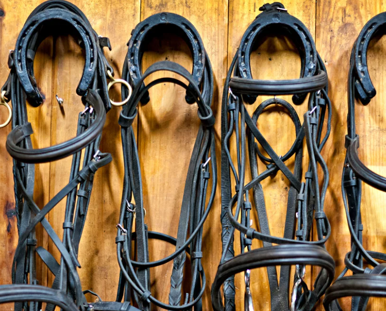 Representative Blog Image