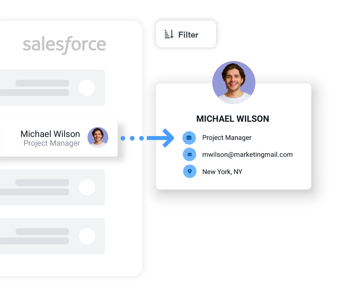 Import Salesforce Records