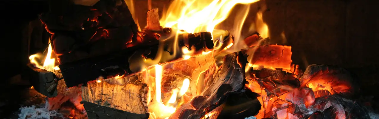 Professional chimney inspection performed by a certified technician on a residential roof