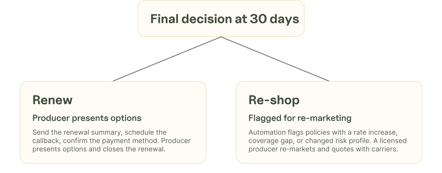 Automated insurance renewal workflow branching into renew or re-shop paths.