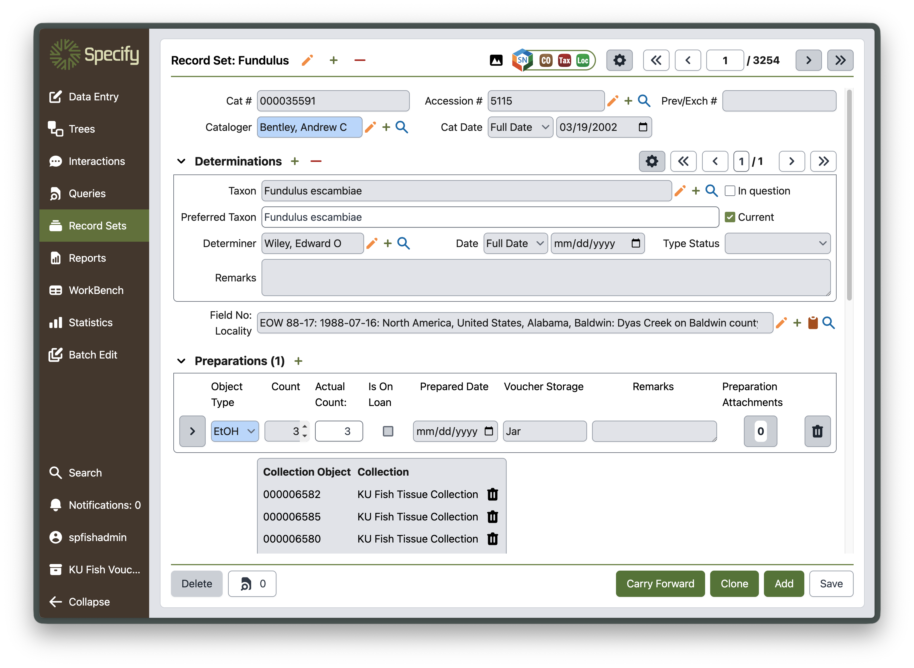 Dashboard mockup