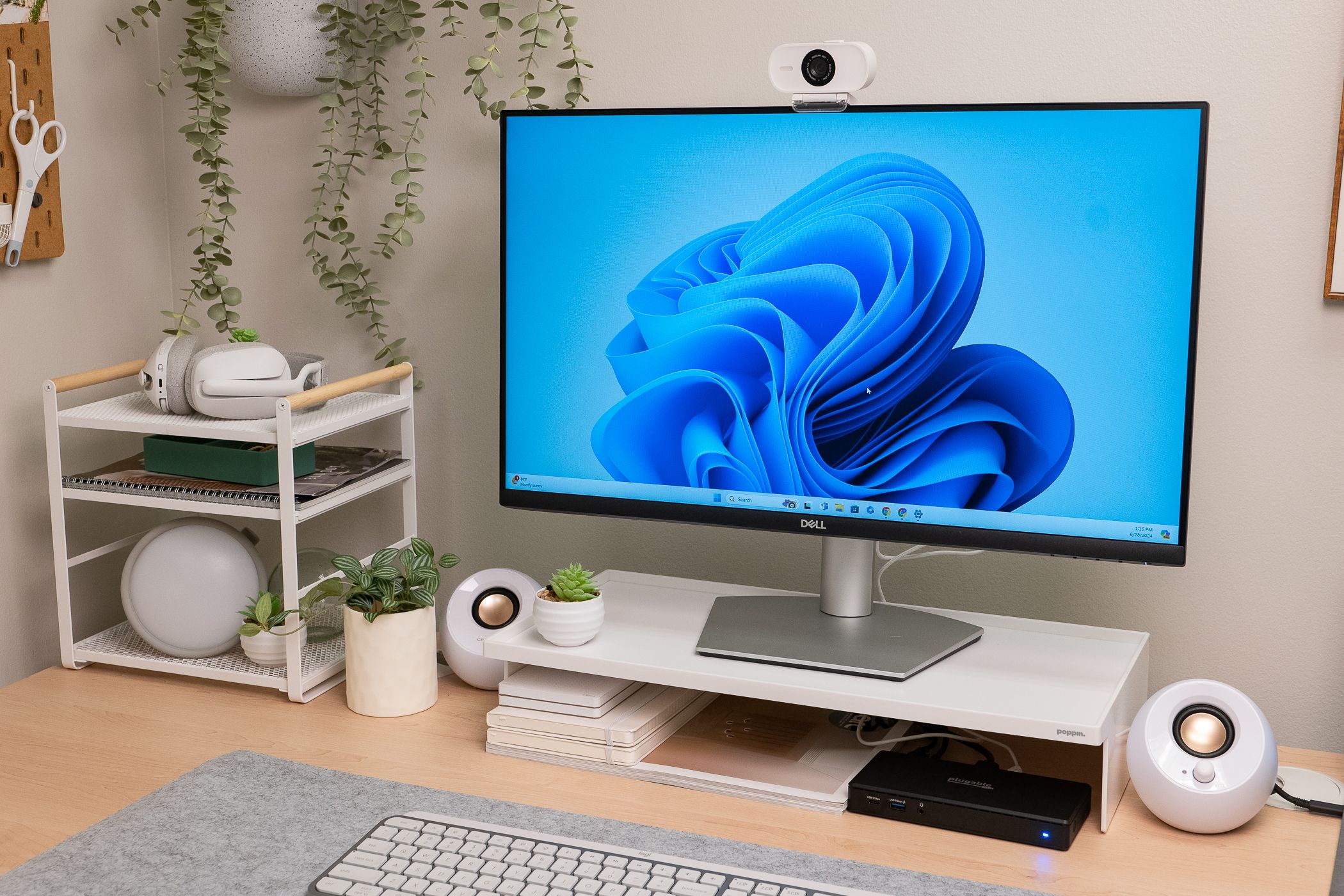 Monitor with USB devices attached