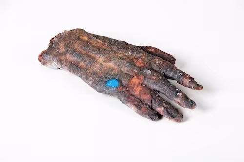 Mummyhand