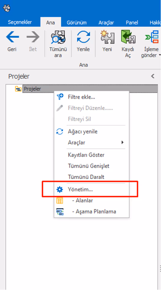 SOLIDWORKS Manage Bildiri Alan Türü Özellikleri