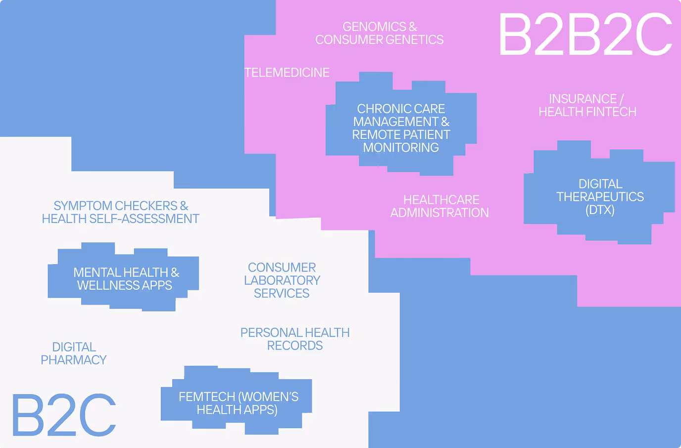 HealthTech product segmentation diagram across four niches: chronic care management, digital therapeutics, FemTech, and mental health apps