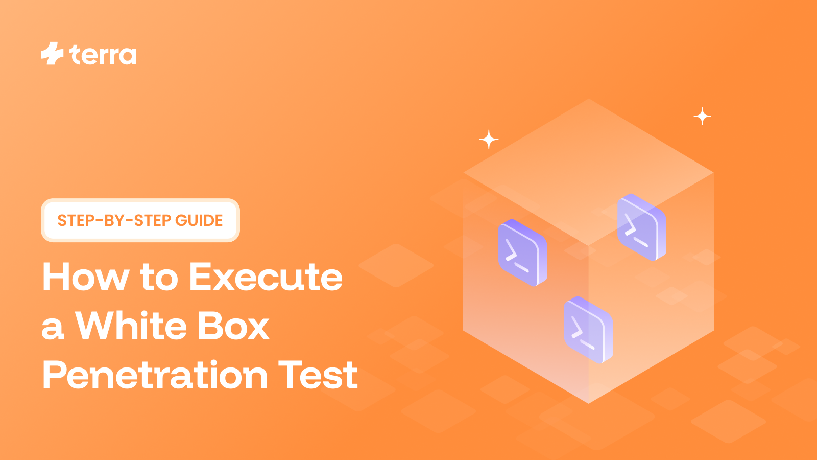 How to Execute a White Box Penetration Test: Step-by-Step Guide