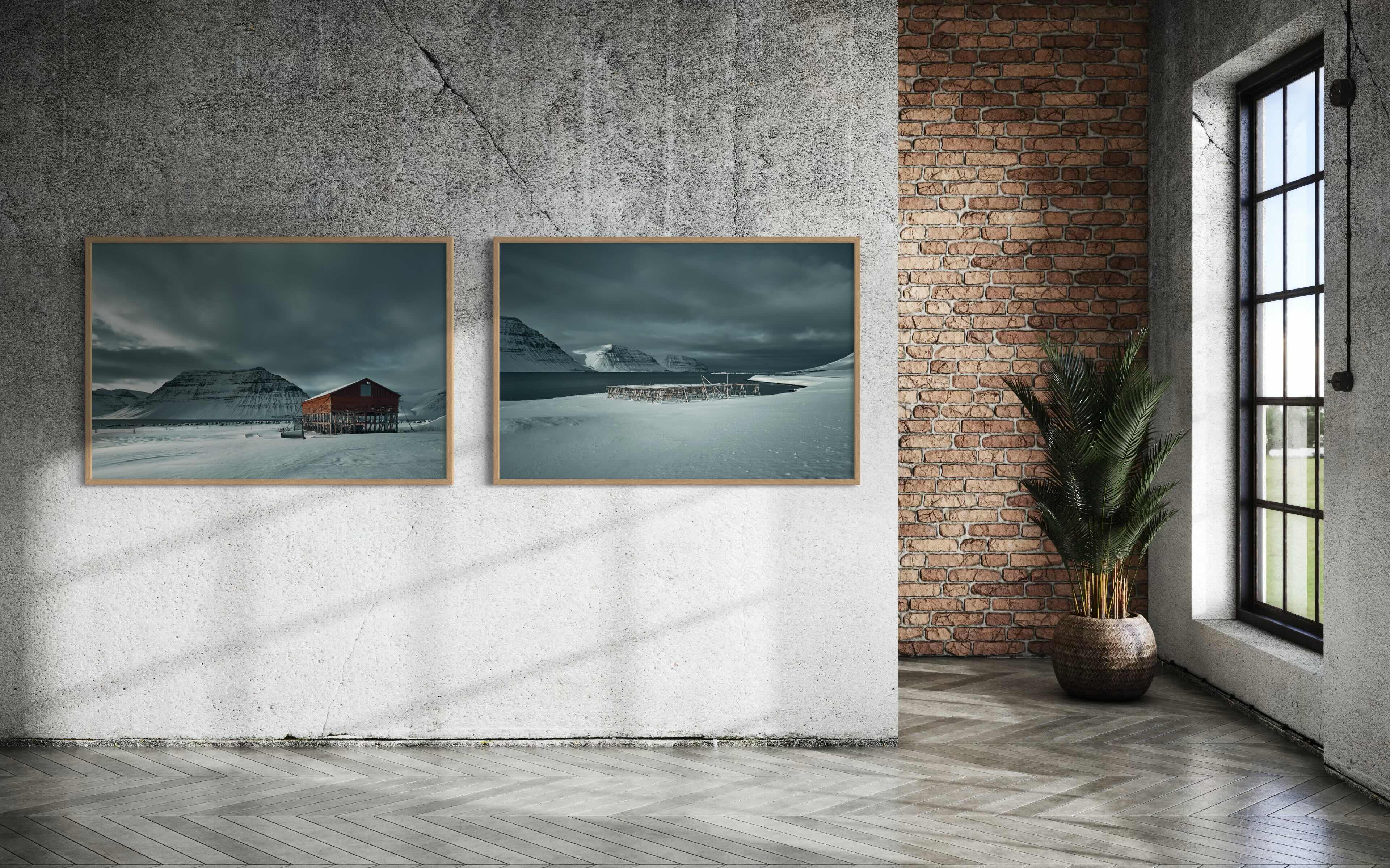 Kingfisher Fine Art Print on Living Room Wall