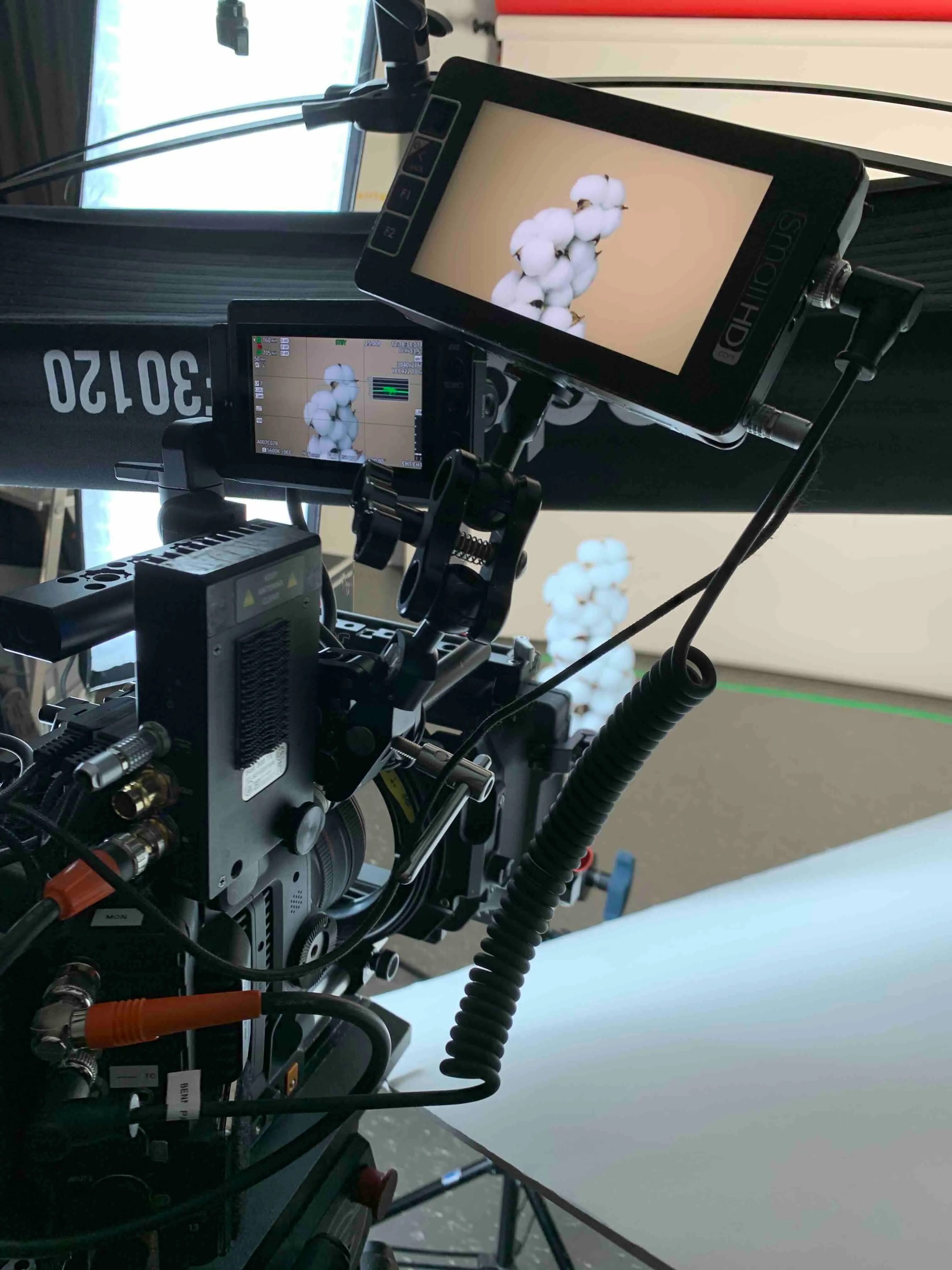 Professionelle Kamera mit Monitoren filmt einen weißen Baumwollzweig vor hellem Hintergrund im Studio.