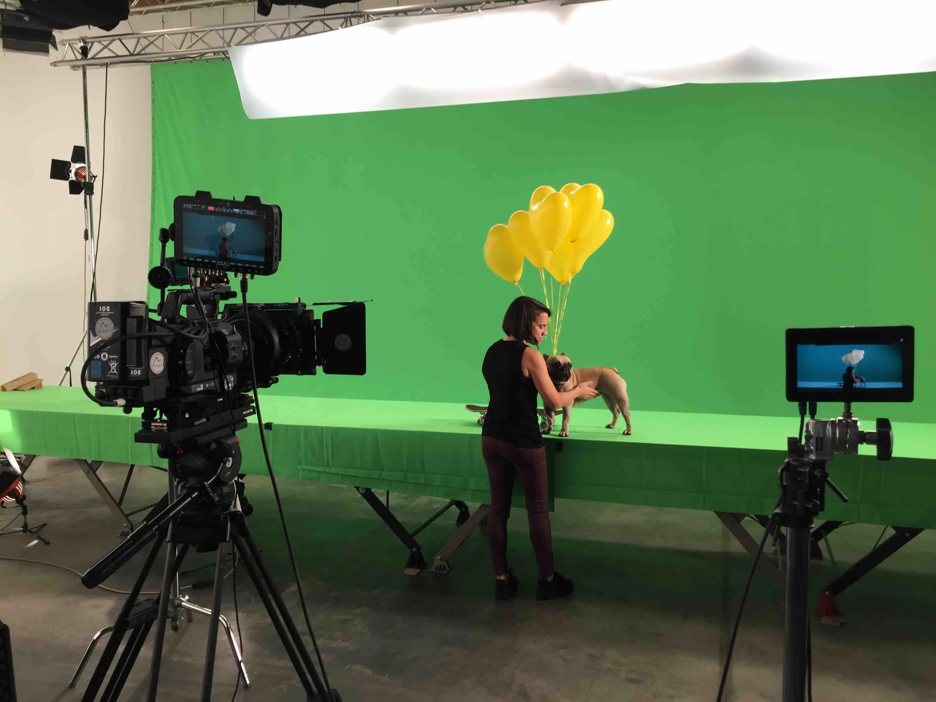 Filmstudio mit grünem Hintergrund, einer Kamera auf einem Stativ, einer Frau, die einen Hund mit gelben Luftballons hält.