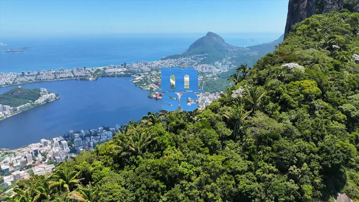 Blick auf Rio de Janeiro mit dichten grünen Wäldern im Vordergrund und der Stadt mit Bergen und einem großen Wasserbecken im Hintergrund.
